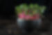 shutterstock_1571509564.jpg
