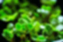 shutterstock_614526434_edited.jpg
