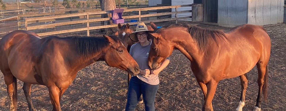 Kate_Horses.jpg