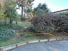 Trail Work Blocked for Now