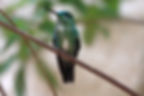 Nature Photography