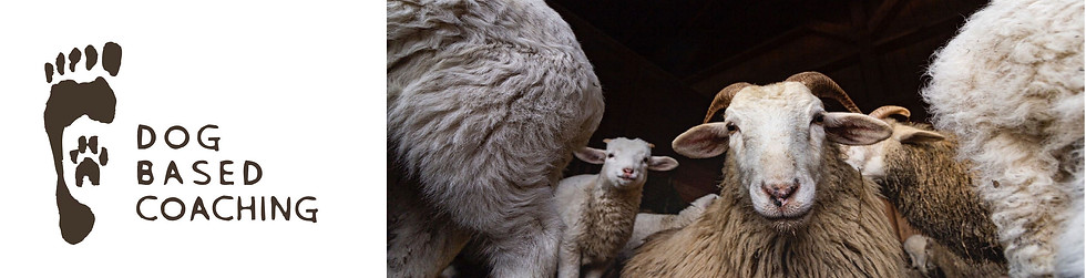 workshop 30.12.2025.jpg