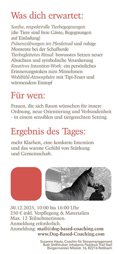 workshop 30.12.2025 2.jpg