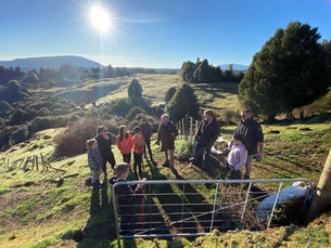 Going Above and Beyond Carbon Neutrality