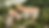 Hochzeit Sharfenberg Bild 2.bmp