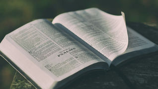 Bible opened up to the book of Psalms with a single page turning in the wind