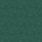 BPCELA_Pattern_Rooted_Green.jpeg