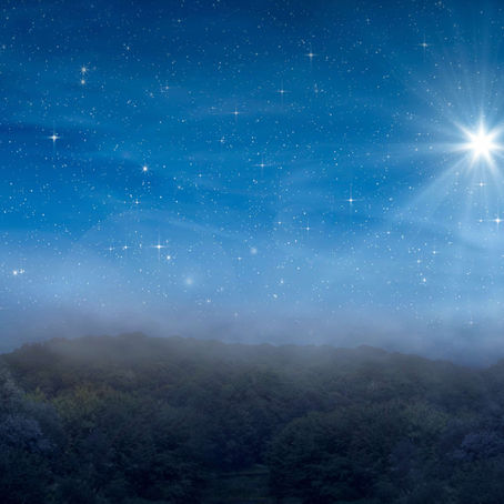 North star shining over clear evening sky