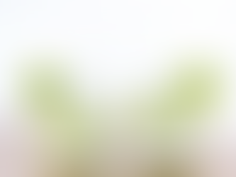 6 Ways To Support Your Liver For Better Detoxification