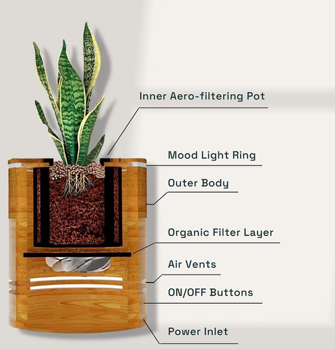 Anita also feared that running a purifier would disrupt her daughter’s homework or her own meditation. Traditional HEPA-based purifiers can indeed be loud, especially at higher settings. But modern plant-based air purifiers like uBreathe operate quietly, silently filtering the air while blending naturally into the home environment.