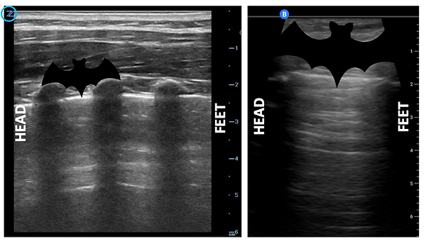 Screenshot 2020-08-29 at 08.46.44.png