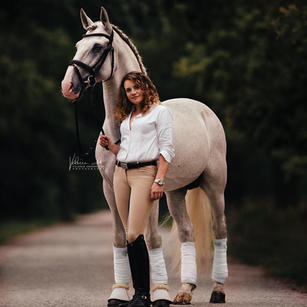 Baixanel, Lusitano stallion