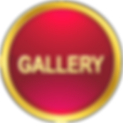 Gallery button
