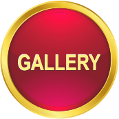 Gallery button