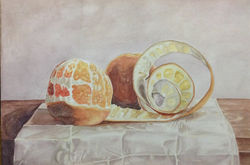 Modelo de naranjas