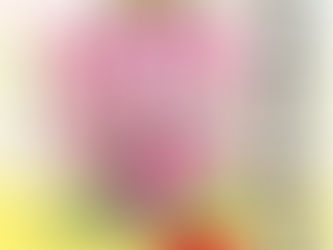 夢をかなえるゾウ 子ども版