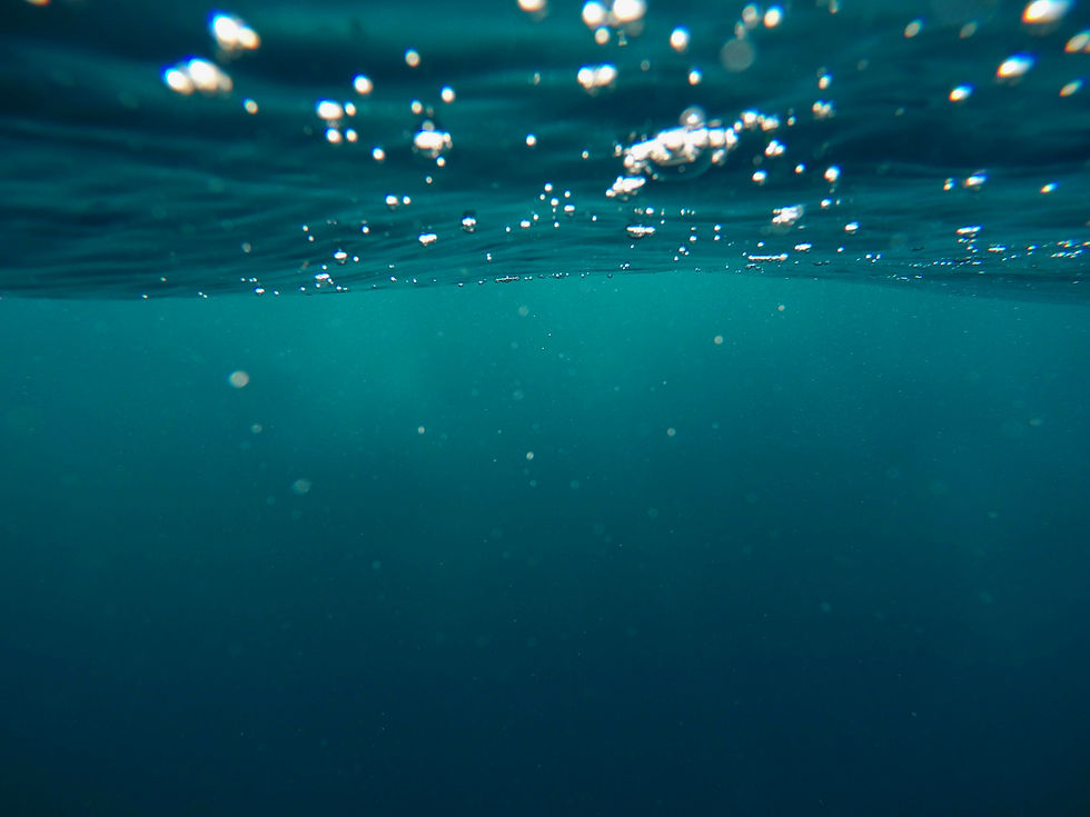 photo of underwater_edited.jpg
