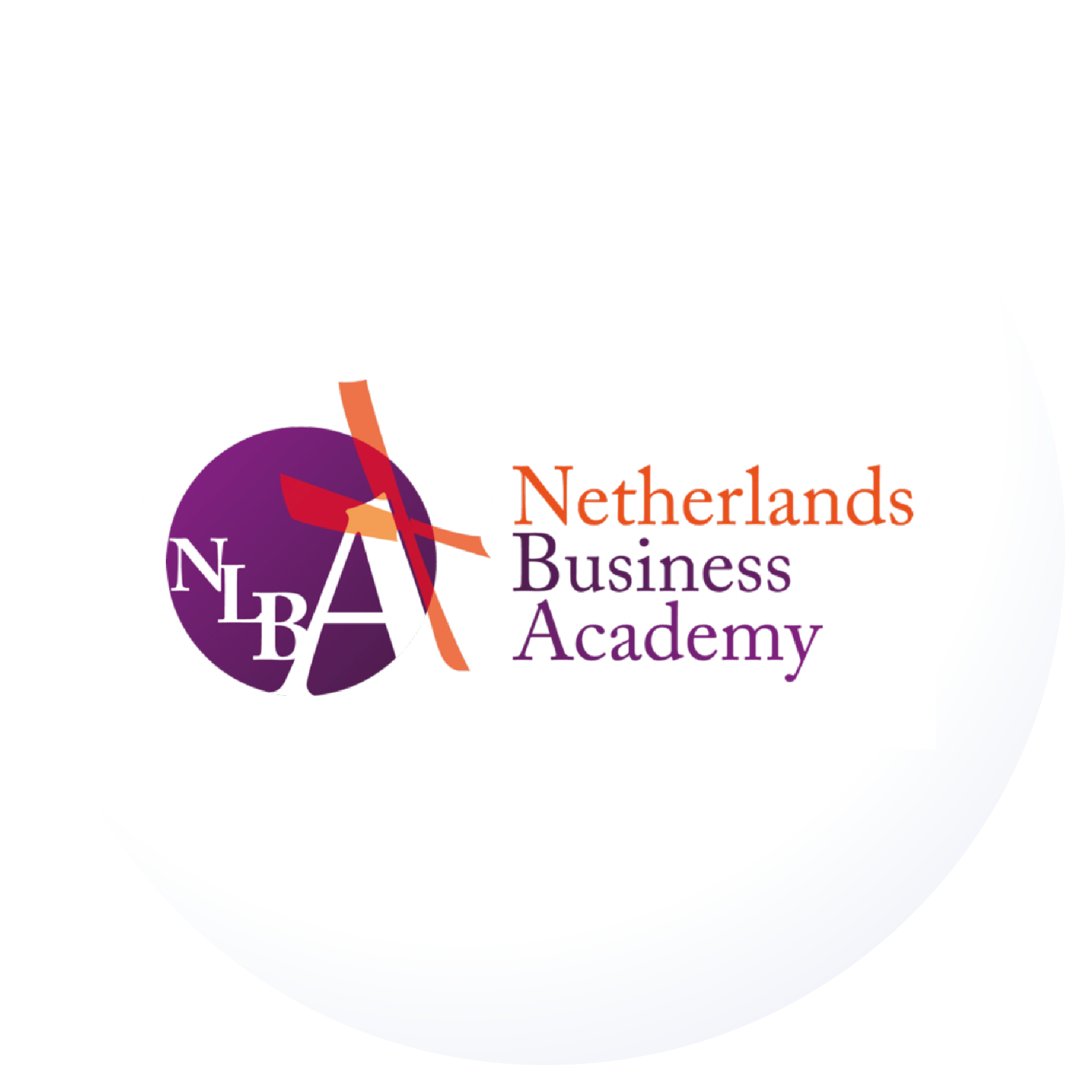 Logo Netherlands Business Acedemy