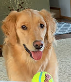 Nala
