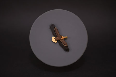 white tail eagle עיטם לבן זנב