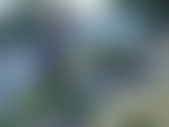 L'histoire de Symbiozen