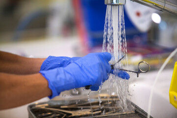 240_F_498816883_v8lvLxCNmUOe5JEipwH1oAqfA4Giq7Mj