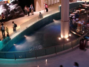 Georgia Aquarium - Atlanta, GA