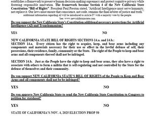 The Ballot: New California State Elections Veteran's Day 11.11.25