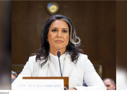 FBI Launches Criminal Investigation into Senate Intel Committee Democrats for Leaking CLASSIFIED Intel on DNI Tulsi Gabbard to the New York Times: Report
