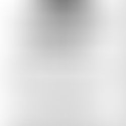 Grievance 1, Chapter II