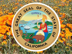 Secretary of State announces new measure eligible for November 2026 General Election Ballot