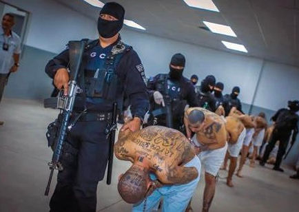 Tom Homan on Arresting Sanctuary City Leaders Harboring Illegals: ‘Wait ‘Til You See What’s Coming’