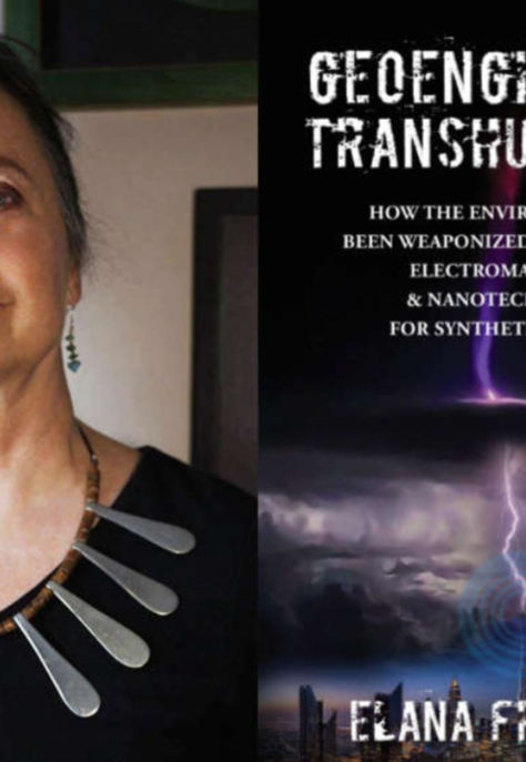 Geoengineered Transhumanism