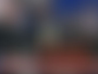 More chilling details on the foiled far-left New Year's Eve bombing plot by the Turtle Island Liberation Front (TILF) extremists.