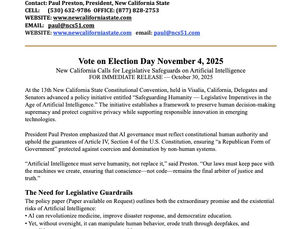 November 4, 2025 New California State Elections