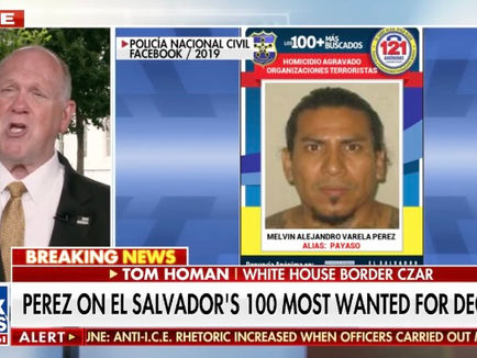 Homan accuses Dems, media of pushing 'fake' stories about ICE after agents clash with California rioters