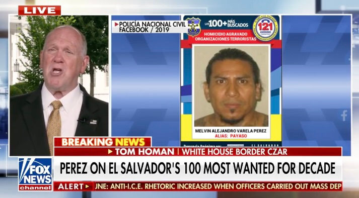 Homan accuses Dems, media of pushing 'fake' stories about ICE after agents clash with California rioters