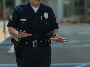 Foreign Fraud Gangs Are Ripping Off West Coast States