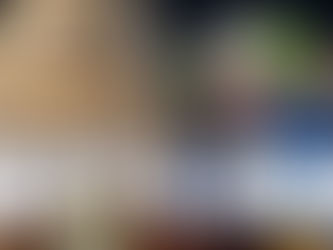 Newsom's Clown Show 2018