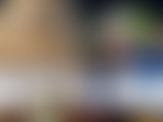 Newsom's Clown Show 2018