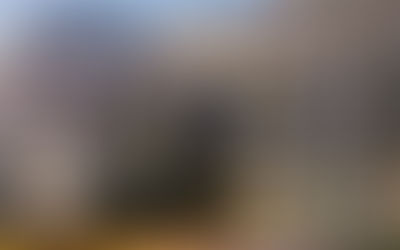 Bipartisan Fraud Investigations of California Community Colleges