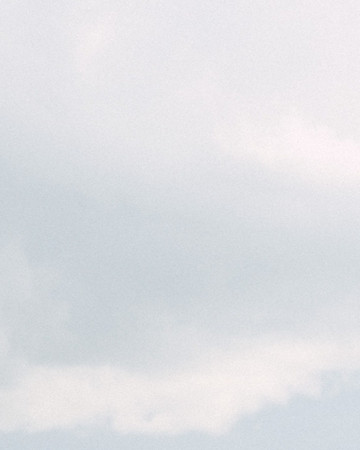 pexels-mitbg-17827020_edited.jpg