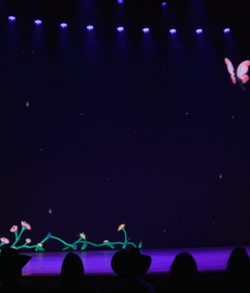 Vines A Story of Love through music and poetry one woman show Amanda Colleen Williams.