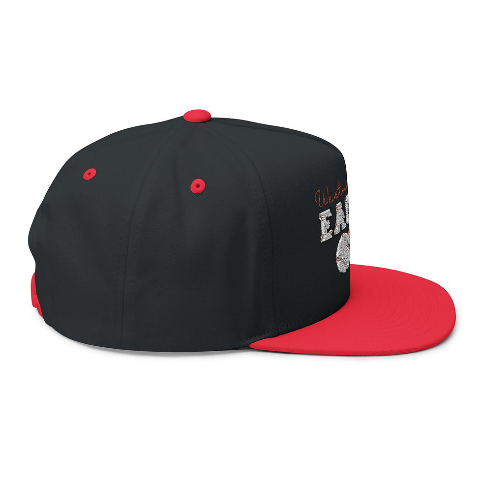 Thumbnail: Flat Bill Cap — Westmoreland Eagles Flaming Baseball Embroidered Snapback