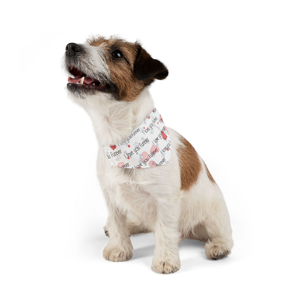 Thumbnail: Pet Bandana Collar - I Love You Furever
