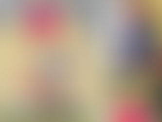 Nova moda - 1.º ciclo