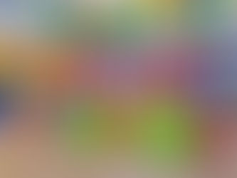 Exposição fotográfica“Pescadores e aves marinhas, aliados por um mar sustentável”