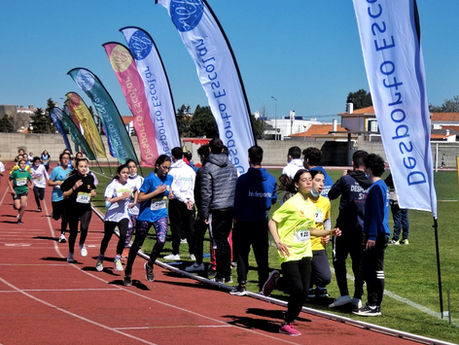 Mega Sprinter - Fase Regional