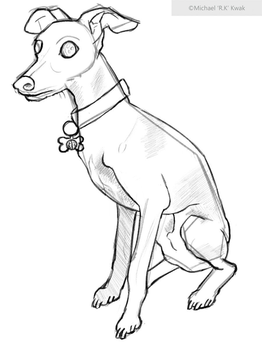 Sitting Dog