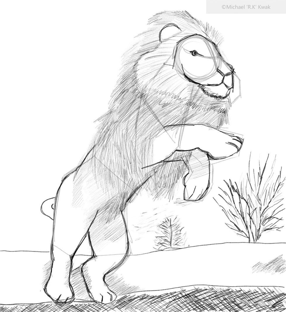 Pouncing Lion
